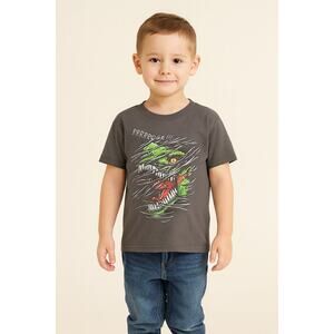 Good condition Gildan Boys' Dinosaur Graphic T-Shirt - Size XS (4-5), Gray